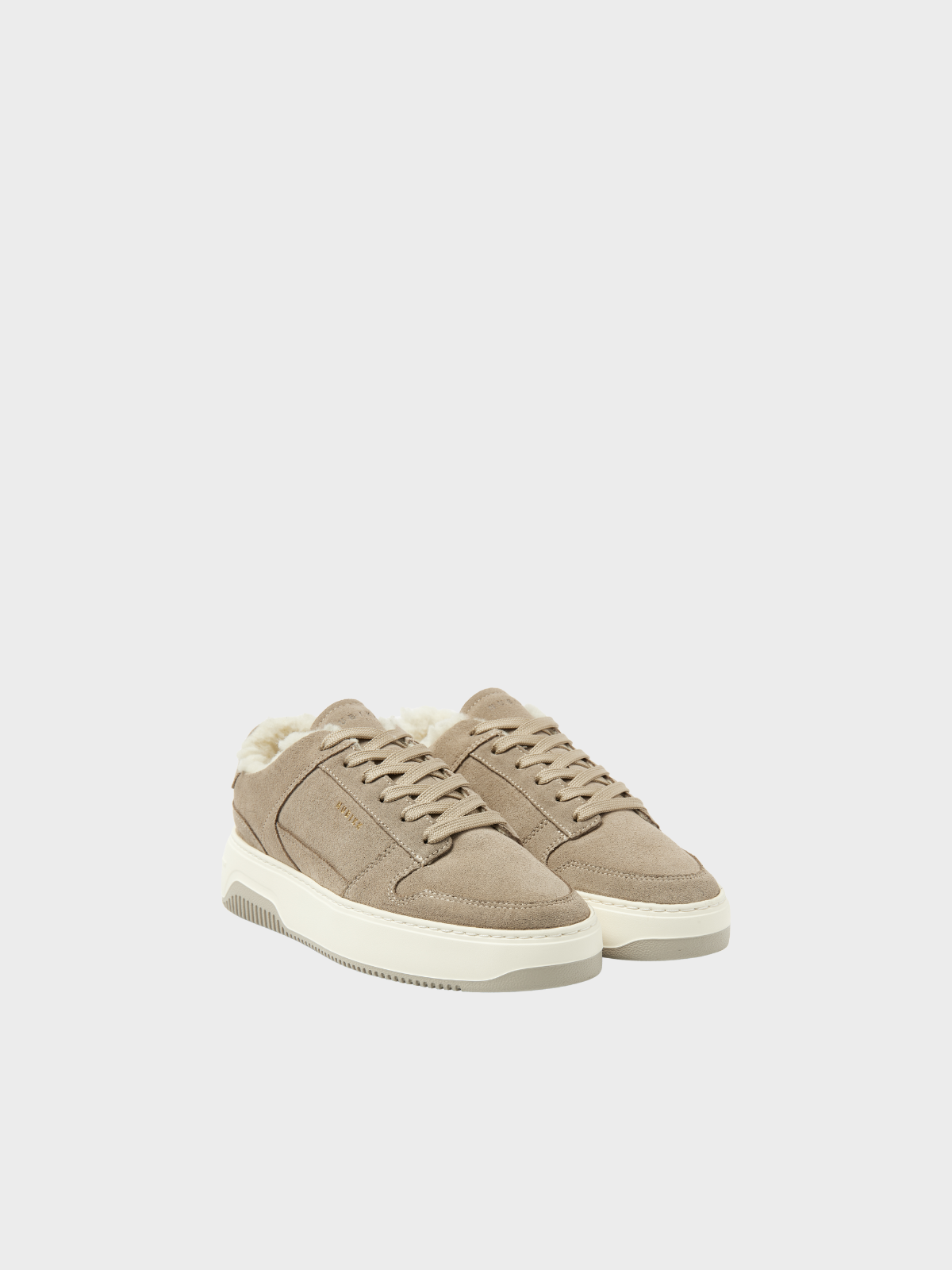 Sneaker Teddy