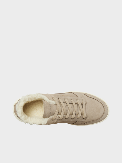 Sneaker Teddy