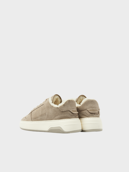 Sneaker Teddy