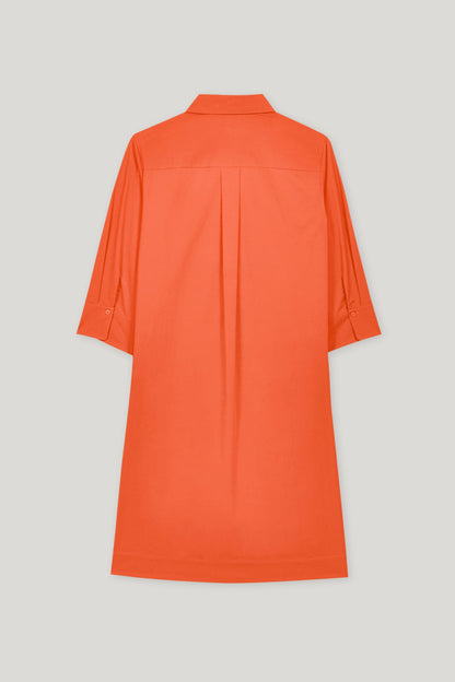 Kleid Hemdkragen